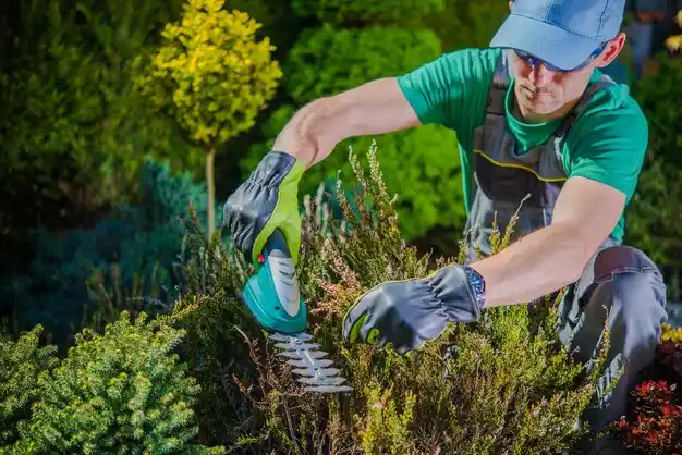 landscaping services Sunset